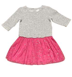 Baby GAP Puppy Ballet Long Sleeve Tulle Dress
